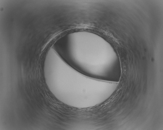 X0000051901256200506241018