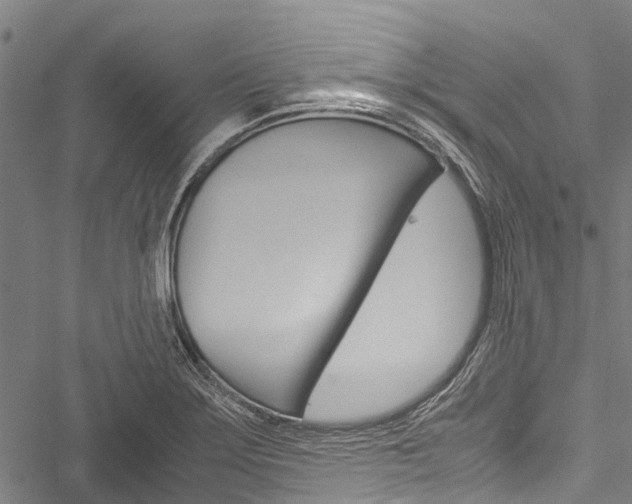 X0000051901275200506241018
