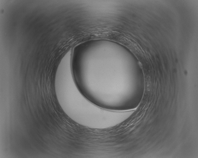 X0000051901298200506241017