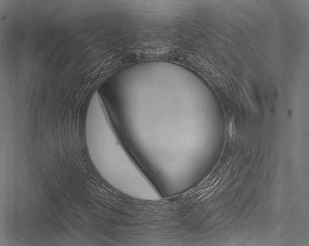 X0000051901299200506241017