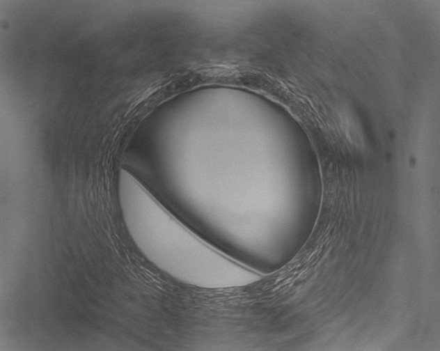 X0000051901301200506241017