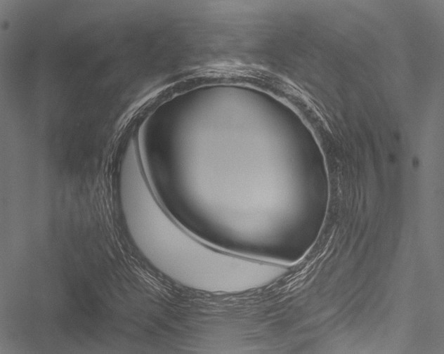 X0000051901304200506241017