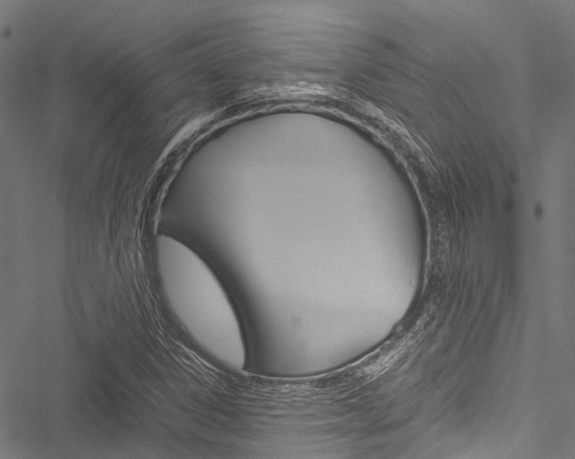 X0000051901306200506241017