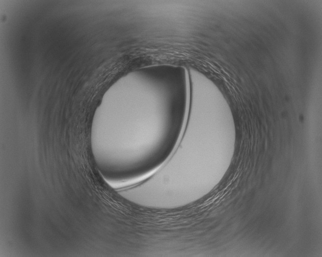 X0000051901345200506241017