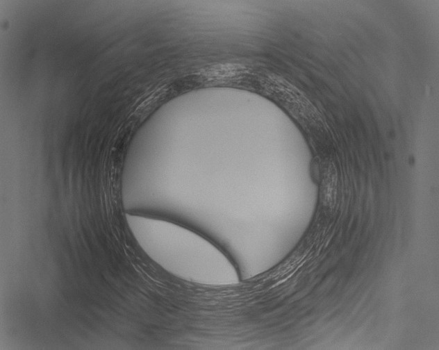 X0000051901346200506241017