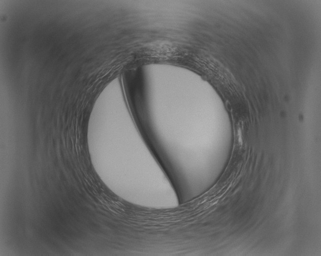X0000051901347200506241017