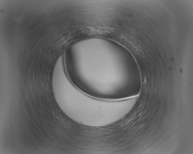 X0000051901348200506241017