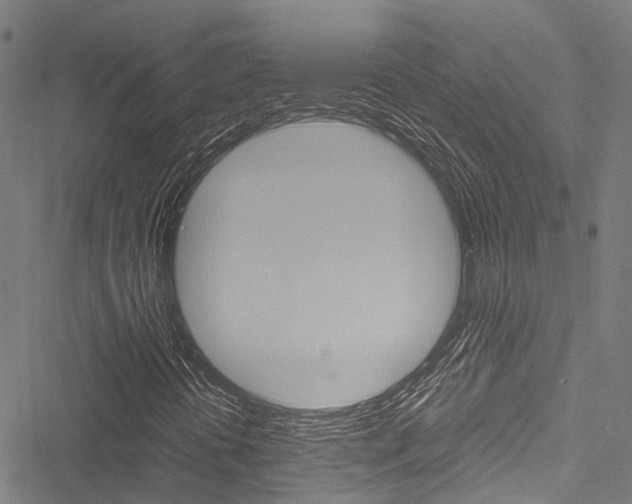 X0000051901394200506241015