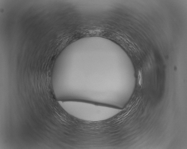 X0000051901395200506241015