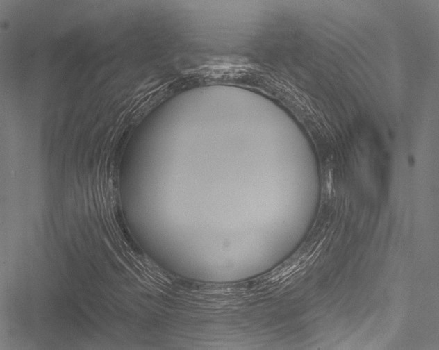 X0000051901396200506241016