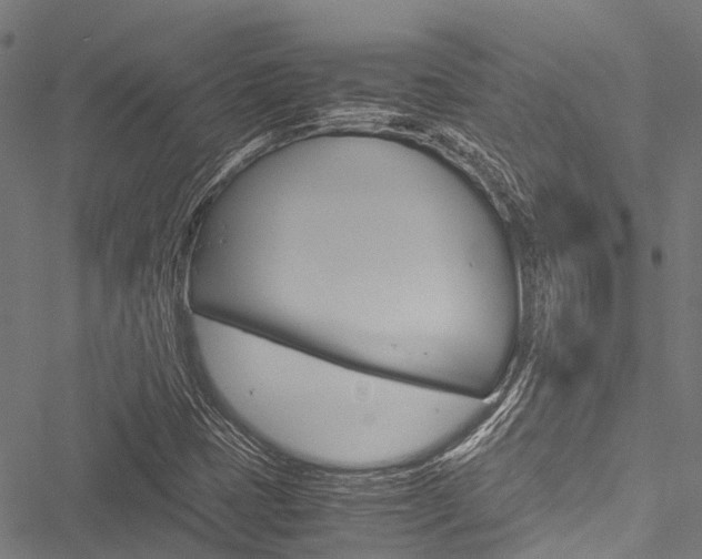 X0000051901401200506241016
