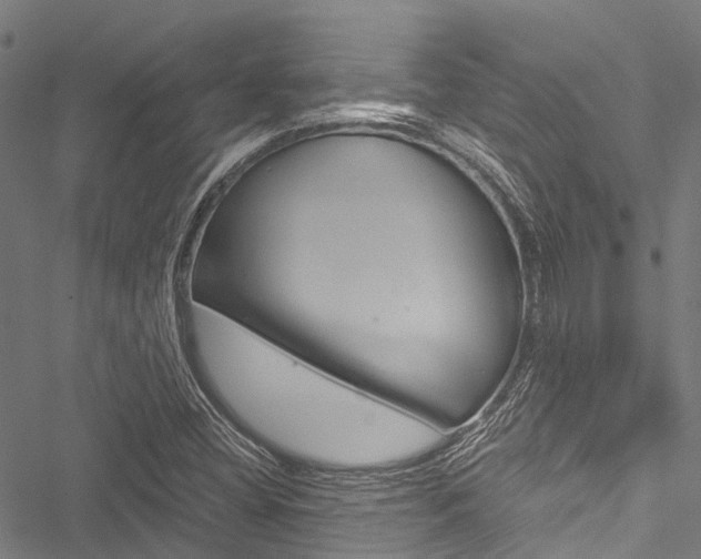 X0000051901404200506241016
