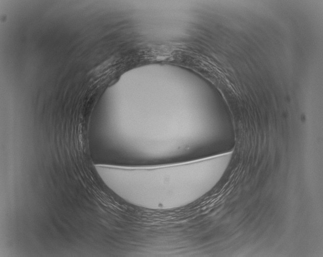 X0000051901442200506241015