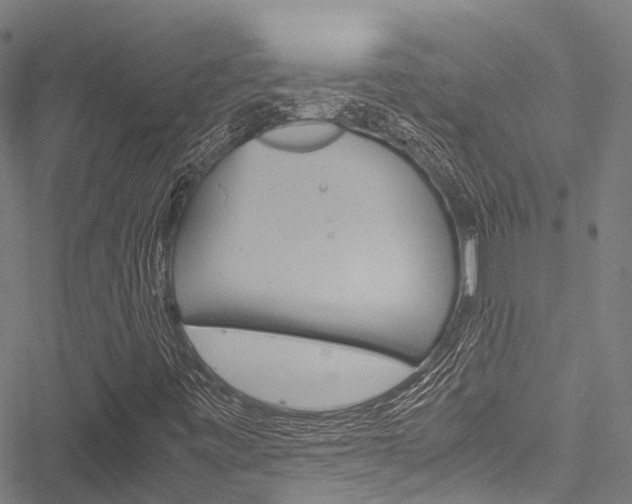 X0000051901443200506241015