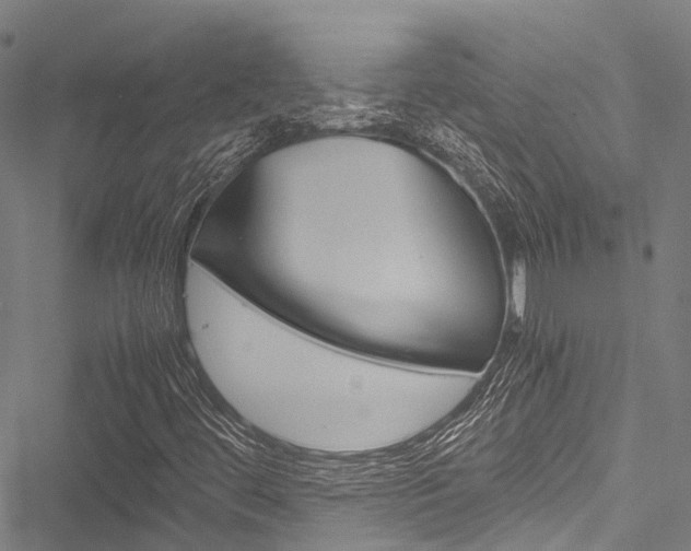 X0000051901444200506241015