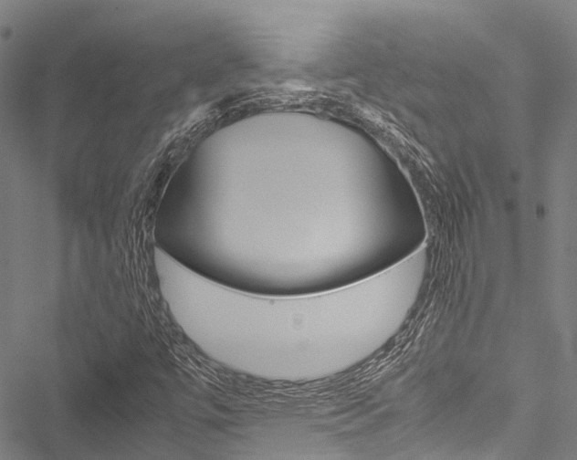 X0000051901447200506241015