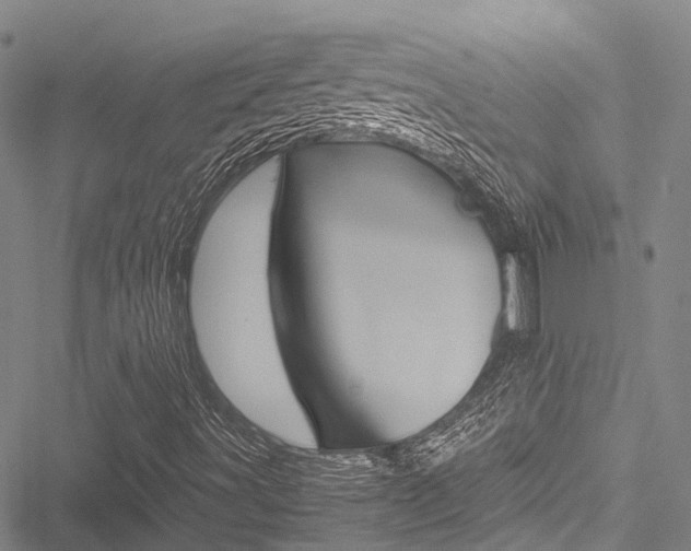 X0000051901491200506241014