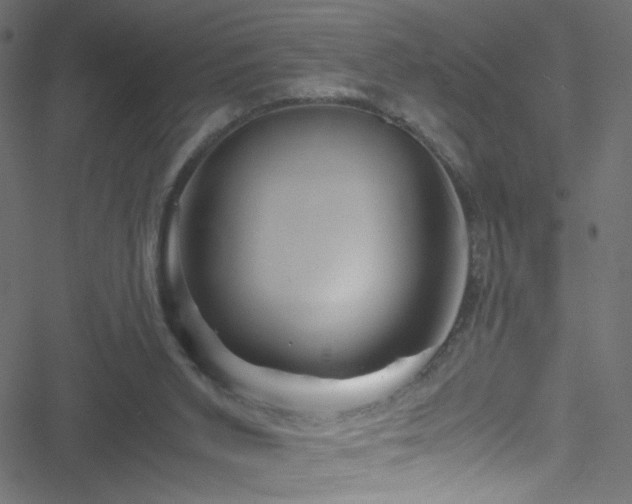 X0000051900015200506241425