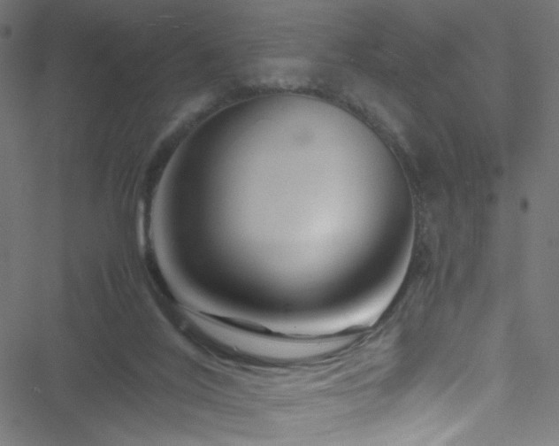 X0000051900020200506241425
