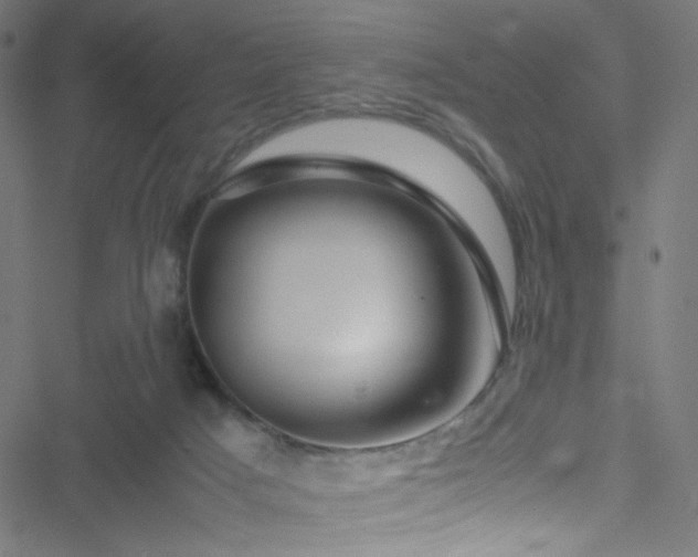 X0000051900025200506241425