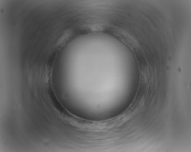 X0000051900032200506241425