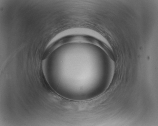 X0000051900033200506241425