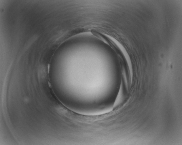 X0000051900037200506241425
