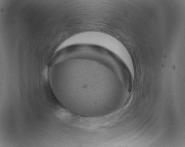 X0000051900041200506241425