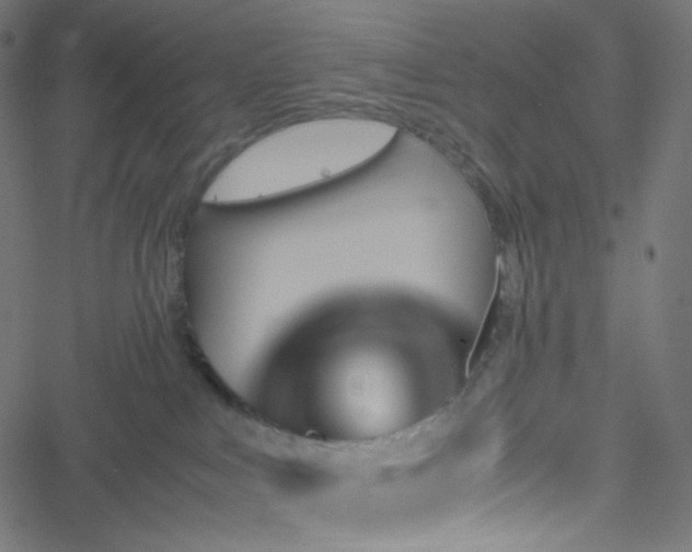 X0000051900043200506241425
