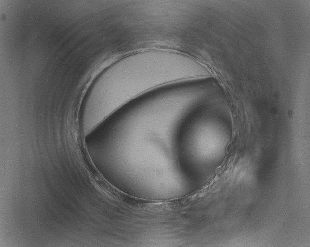 X0000051900050200506241424