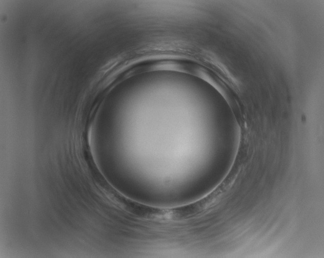 X0000051900068200506241424