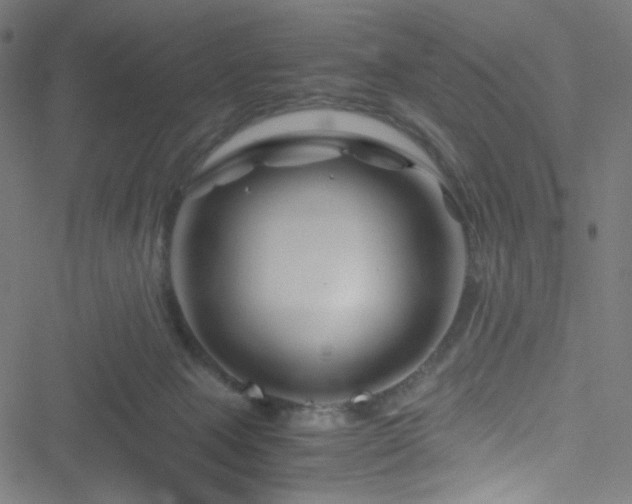 X0000051900077200506241425