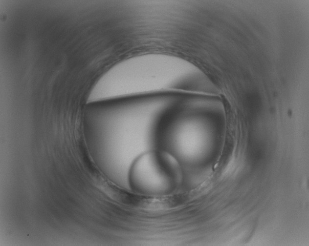 X0000051900082200506241425