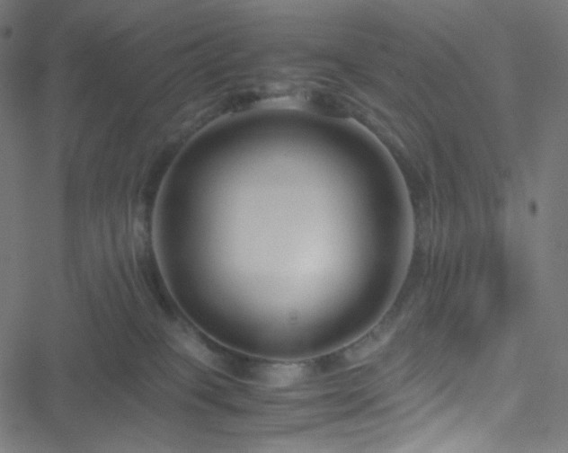 X0000051900085200506241425
