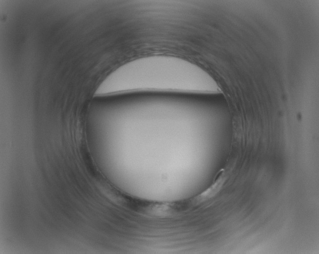 X0000051900086200506241425