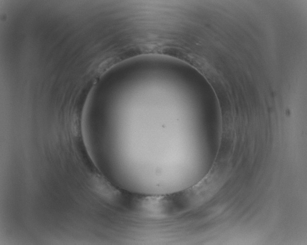 X0000051900090200506241425