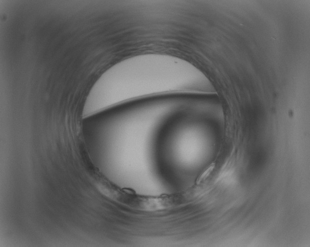 X0000051900091200506241425