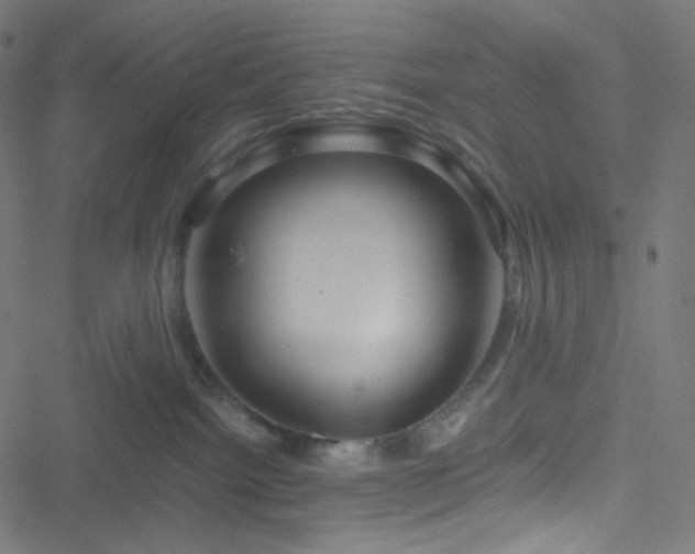 X0000051900092200506241425
