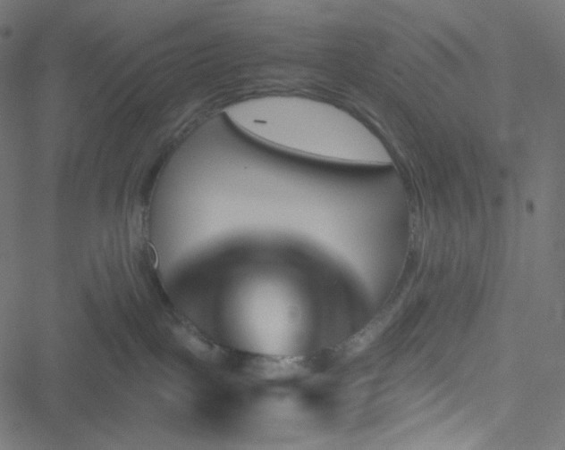 X0000051900093200506241425