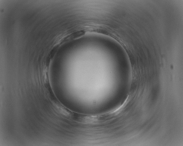 X0000051900094200506241425
