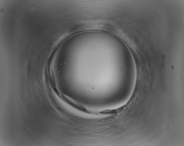 X0000051900107200506241424