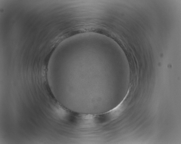 X0000051900144200506241423