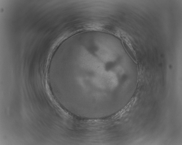 X0000051900145200506241423