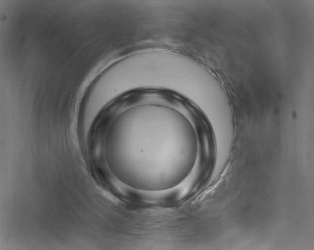 X0000051900150200506241423