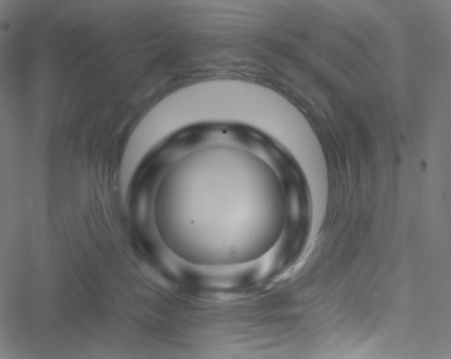 X0000051900184200506241423
