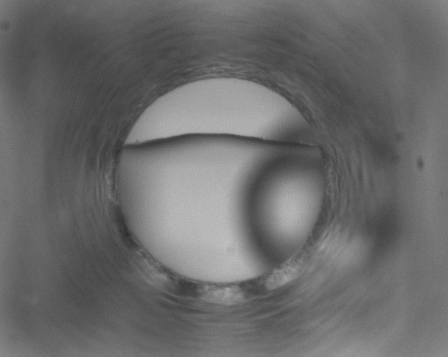 X0000051900185200506241423