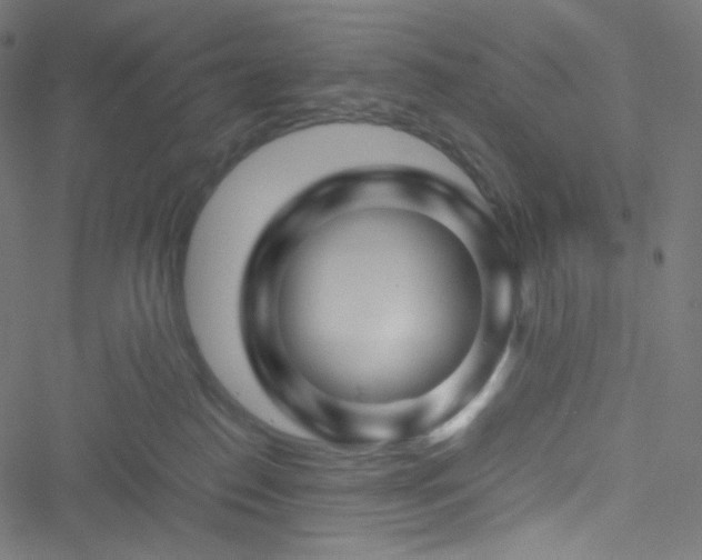 X0000051900186200506241423