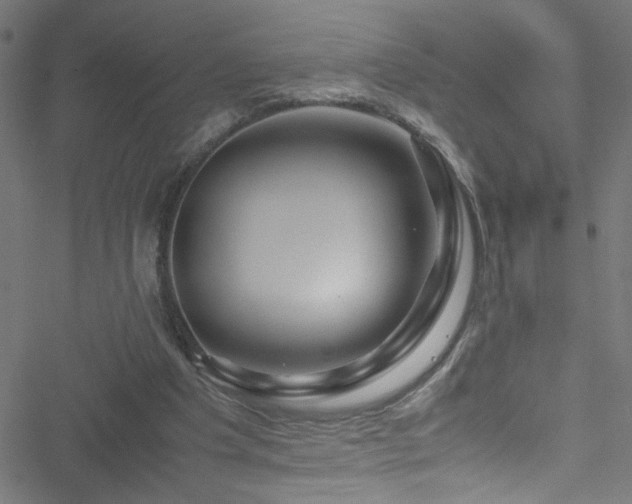 X0000051900201200506241422