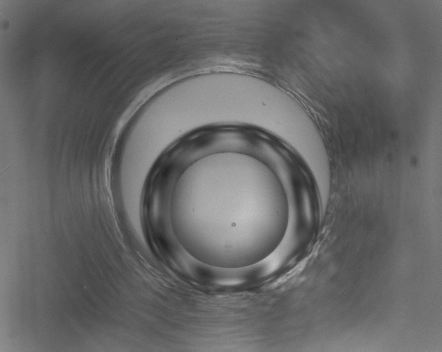 X0000051900244200506241421