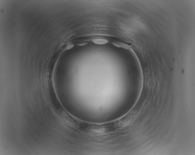 X0000051900263200506241421